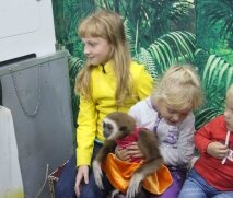 Выставка обезьян в ТРЦ САНиМАРТ (Пенза, ул. Плеханова, 19)
